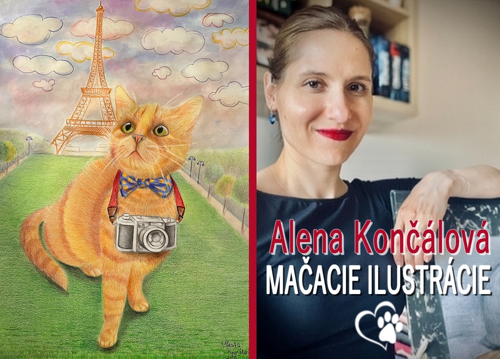 Alena Končálová - Mačacie ilustrácie 